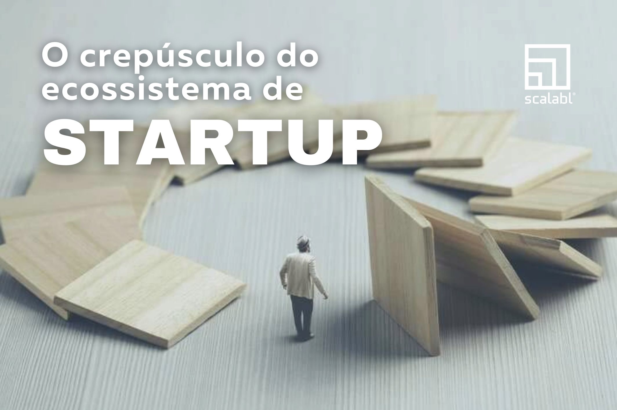 O crepúsculo do ecossistema de Startup