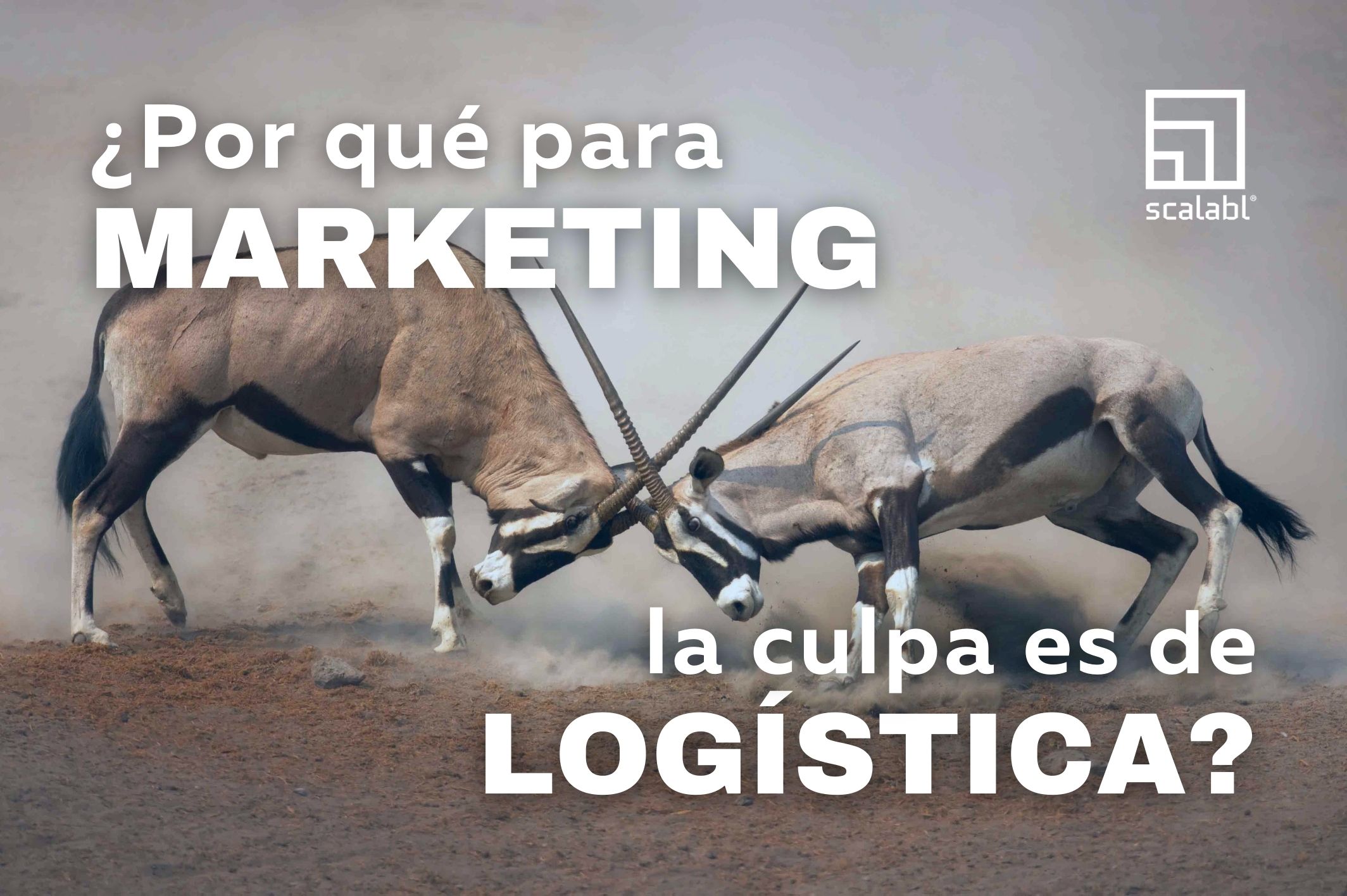 ¿Por qué para Marketing la culpa es de Logística?